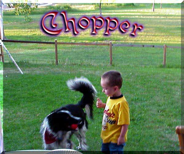 assets/chopper.jpg