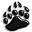 assets/favicon.ico