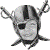 assets/raidcam.gif