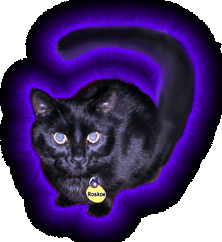 assets/roscoe1.gif