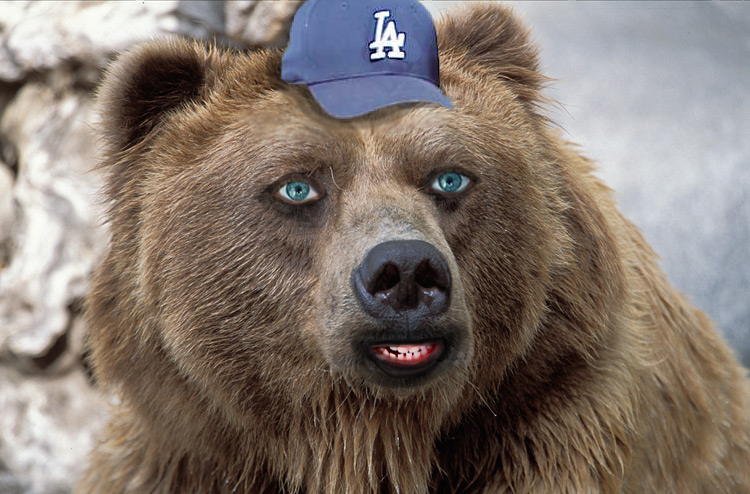 assets/samples/Bear Cam.jpg