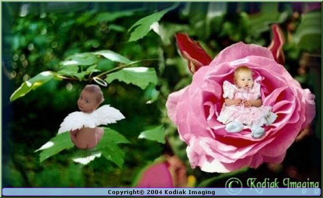 images/Sprites.jpg