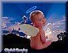 thumbnails/tnAngel Cam.jpg